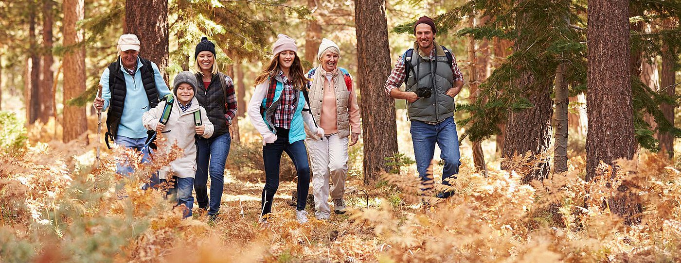 A family with children walks along a forest trail in autumn, surrounded by golden leaves and tall pines, enjoying a sunny countryside hike.